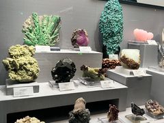 -湖南省地质博物馆