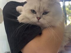 -瑞鹏瑞爱宠物医院·全科·猫科·血液透析中心(龙头寺店)