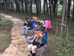 -上海长兴岛郊野公园