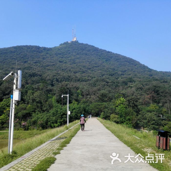 襄阳岘山森林公园图片