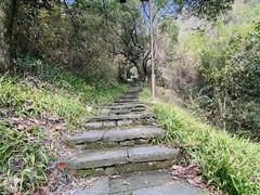 -杭州半山国家森林公园