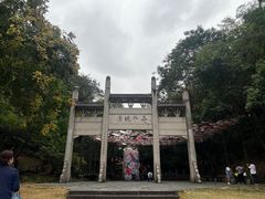-常德桃花源景区