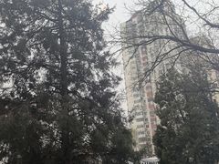 -北京西藏大厦酒店