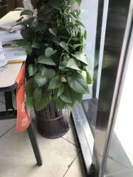 -环球蝶上美业连锁