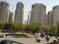 -长白岛森林公园