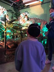 -恐龙探索乐园(磁器口店)