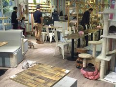 -小时光咖啡馆(开森度假森林店)