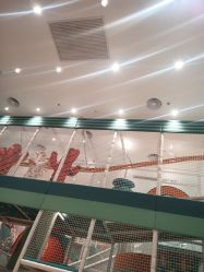 -奈尔宝·儿童乐园·亲子餐厅(鄞州万达店)