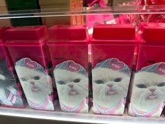 -万达广场(槐房店)