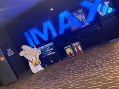 -万达影城(潍坊万达广场IMAX店)