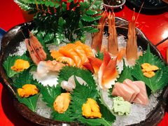 三文鱼-初花·日本料理