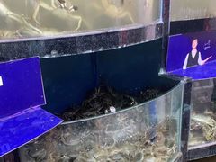 水产区-蟹状元大闸蟹·年货·粽子(成都成华店)