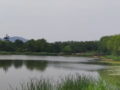 -北坞公园