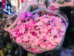 -茶马花街(城西银泰城店)