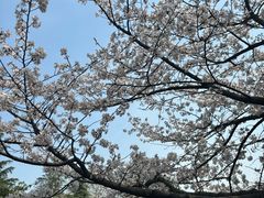 -堤角公园