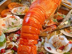 -东记炭炉·海鲜鸡煲(龙华店)
