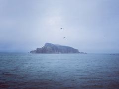 -海驴岛(荣成市)