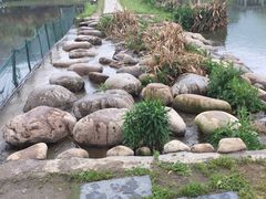-石塘人家
