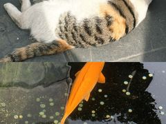 -长春观
