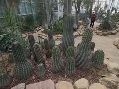 -郑州植物园
