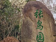 -张鸟园农家乐(张鸟园店)
