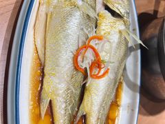 -波螺油子·海肠捞饭·青岛菜(市南银座店)