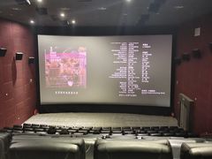 -华隶影城CINITY120帧(华创店)