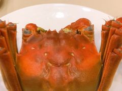 -王宝和酒家(黄浦店)