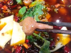 肥肠-晓彭肥肠鸡·泡椒鸡火锅(水木天地店)