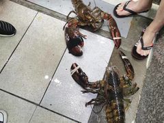 -蚝专家(北滘店)