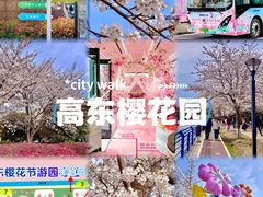 -高东镇樱花园