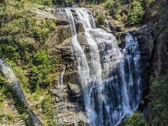 -海南热带雨林国家公园吊罗山景区