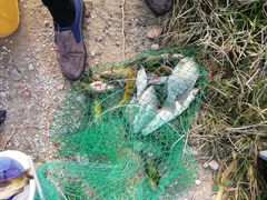 -南沙十九涌渔人码头-南门