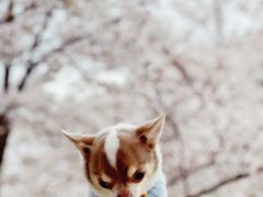 -龙美术馆(西岸馆)