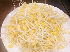 -红鼎坊·老成都火锅(新南门店)