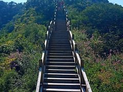 景点-大岭沟猕猴桃谷风景区
