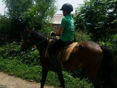 android_upload_pic-沈阳静安马场