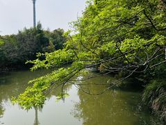 -南汇桃花村