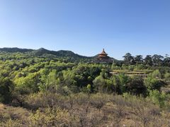 -磬锤峰森林公园