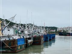 -沈家门渔港
