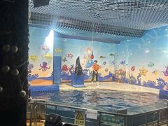 -太平洋海底世界