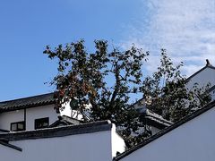 -北寺塔