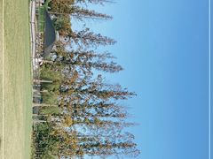 -前小桔亲子创意农场·草莓采摘·露营烧烤