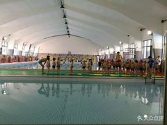 -杨浦温水游泳池