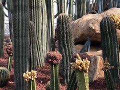 -南通洲际绿博园