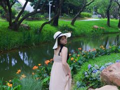 -人民公园(罗湖区)