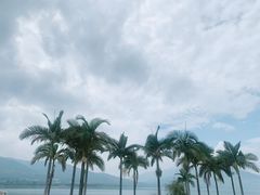 -西昌邛海湿地