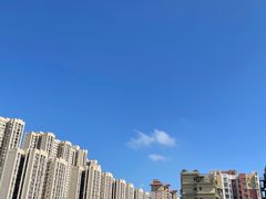 -狐狸和向日葵(北京路店)