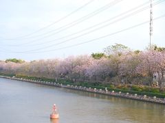 -南丰汇(新港东路店)