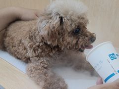 -美联众合动物医院·24h京西诊疗中心